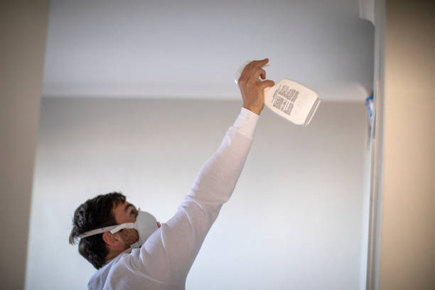 Best Crawl Space Mold Removal  in Lake Placid, FL