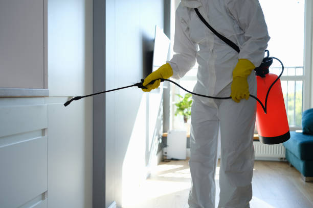 Best Toxic Mold Removal  in Lake Placid, FL